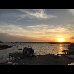 Meet your Posher, Daphne